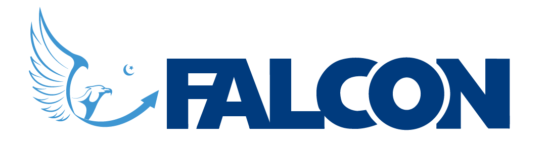 Falcon Consulting